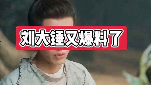 刘大锤今日爆料最新,揭秘娱乐圈最新惊天秘密！